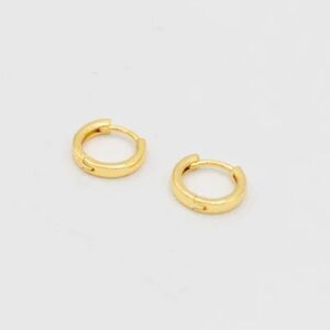 NEW Jenny Bird Gold Plated Classic Huggies